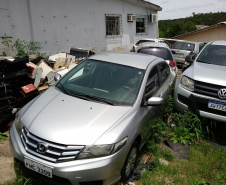 Segurança Pública e Polícia Civil removem 79 veículos que estavam parados na Delegacia de Campina Grande do Sul