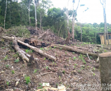  Polícia Ambiental apreende 10 armas de fogo e flagra desmatamento e caça ilegal no interior do Paraná 