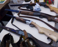  Polícia Ambiental apreende 10 armas de fogo e flagra desmatamento e caça ilegal no interior do Paraná 