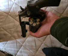  Polícia Ambiental apreende 10 armas de fogo e flagra desmatamento e caça ilegal no interior do Paraná 