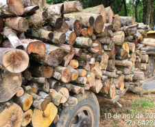  Polícia Ambiental apreende 10 armas de fogo e flagra desmatamento e caça ilegal no interior do Paraná 