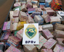 BPRv apreende quase 5,5 toneladas de maconha meio a carga de milho no Oeste do estado