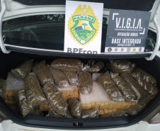 No Oeste do estado, BPFron apreende 14 quilos de Skank e 60 quilos de maconha durante a Operação Hórus