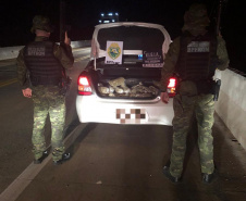 No Oeste do estado, BPFron apreende 14 quilos de Skank e 60 quilos de maconha durante a Operação Hórus