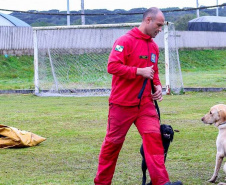  Bombeiros promovem certificação estadual de cães de busca e resgate