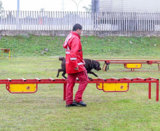  Bombeiros promovem certificação estadual de cães de busca e resgate