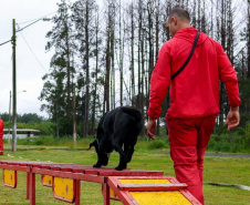  Bombeiros promovem certificação estadual de cães de busca e resgate
