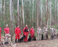  Bombeiros promovem certificação estadual de cães de busca e resgate