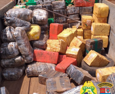 Operações com Cães do BPFron apreende mais de 2,5 toneladas de maconha em Santa Helena (PR)
