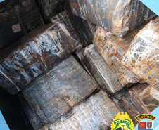 Operações com Cães do BPFron apreende mais de 2,5 toneladas de maconha em Santa Helena (PR)
