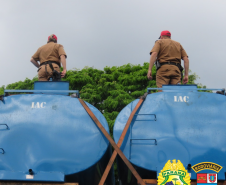 Operações com Cães do BPFron apreende mais de 2,5 toneladas de maconha em Santa Helena (PR)