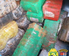 Operações com Cães do BPFron apreende mais de 2,5 toneladas de maconha em Santa Helena (PR)