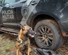Ação conjunta das policias Militar e Civil pela Operação Sinergia resulta em dinheiro, carro e crack apreendidos em Santo Antônio do Sudoeste