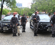 Polícia Militar inicia Operação Natal e reforça presença nas ruas