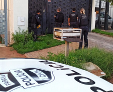 PCPR prende associação criminosa voltada a compra e venda de pontos em CNH