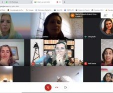 Pedagogos de unidades prisionais participam de capacitação para nova plataforma de cursos on-line IMM