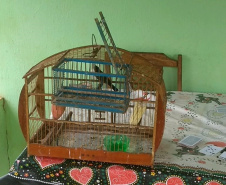 Polícia Ambiental apreende 50 aves nativas e aplica R$ 30 mil em multas no Noroeste do estado