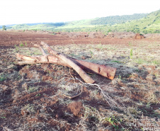 Força-Tarefa reforça combate à pesca predatória e desmatamento no Estado