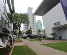 Polícia Civil registra queda nos casos de violência doméstica e outros crimes nos primeiros 15 dias da temporada no Litoral