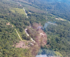 Polícia Ambiental identifica 13 pontos com corte de vegetação nativa em Guaratuba (PR)