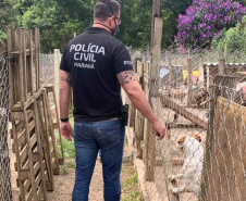 PCPR prende suspeita de maus-tratos em Quatro Barras