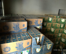 PCPR apreende carga roubada de leite avaliada em R$ 76 mil