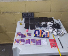 Homem tenta invadir Penitenciaria Estadual de Cruzeiro do Oeste usando escada para entrega de celulares e acaba preso
