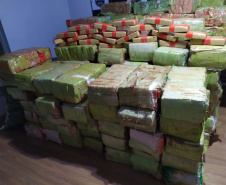 Forças de segurança apreendem mais de 280 toneladas de drogas em 2020