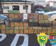 No Paraná, polícias apreendem 145 toneladas a mais de drogas em 2020