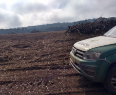 Polícia Ambiental reforça ações e atende 15 mil ocorrências em 2020