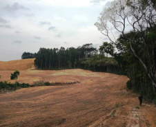 Polícia Ambiental reforça ações e atende 15 mil ocorrências em 2020