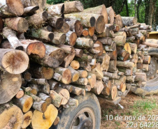 Polícia Ambiental reforça ações e atende 15 mil ocorrências em 2020