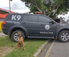 Em São José dos Pinhais, equipes do “Em Frente Brasil” desencadeiam Operação Domo para combater o homicídio 