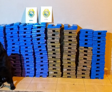 No Noroeste do Paraná, PM encaminha quatro pessoas por crimes diversos e apreende mais de 200 kg de maconha, em ocorrências separadas