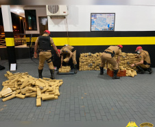 Carro abandonado em milharal é apreendido com 612 quilos de maconha em Doutor Camargo