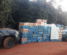 Caminhão carregado com cigarros contrabandeados é apreendido durante ação conjunta da PM com a PF em Brasilândia do Sul (PR)