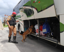 Apreensão de drogas com uso de cães da PM aumenta em quase 1.000% no Paraná