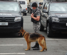 Apreensão de drogas com uso de cães da PM aumenta em quase 1.000% no Paraná