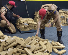 Apreensões de drogas aumentam quase 150% no primeiro trimestre