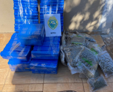 Polícia Rodoviária apreende 132 quilos de maconha em carro e ônibus de viagem, no Norte do estado