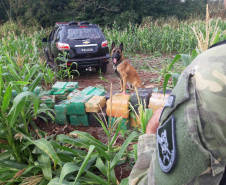 Mais de 1,3 tonelada de maconha é apreendida durante Operação Hórus, no Oeste do Paraná