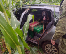Mais de 1,3 tonelada de maconha é apreendida durante Operação Hórus, no Oeste do Paraná