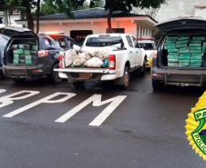 Mais de uma tonelada de maconha é apreendida pela PM em Santa Helena 