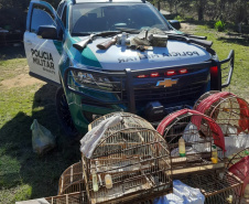 Polícia Ambiental apreende quatro armas e 12 pássaros silvestres em Rio Negro 