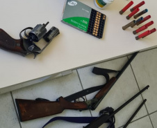 Polícia Ambiental apreende quatro armas e 12 pássaros silvestres em Rio Negro 