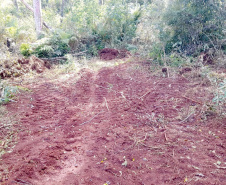 Polícia Ambiental e IAT localizam 406 ha de desmate no Centro-Sul e aplicam R$ 4,2 milhões em multas 