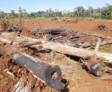 Polícia Ambiental e IAT localizam 406 ha de desmate no Centro-Sul e aplicam R$ 4,2 milhões em multas 