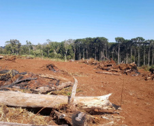 Polícia Ambiental e IAT localizam 406 ha de desmate no Centro-Sul e aplicam R$ 4,2 milhões em multas 
