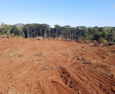 Polícia Ambiental e IAT localizam 406 ha de desmate no Centro-Sul e aplicam R$ 4,2 milhões em multas 