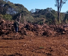 Polícia Ambiental e IAT localizam 406 ha de desmate no Centro-Sul e aplicam R$ 4,2 milhões em multas 